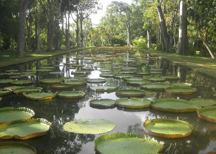 Sun Villa
